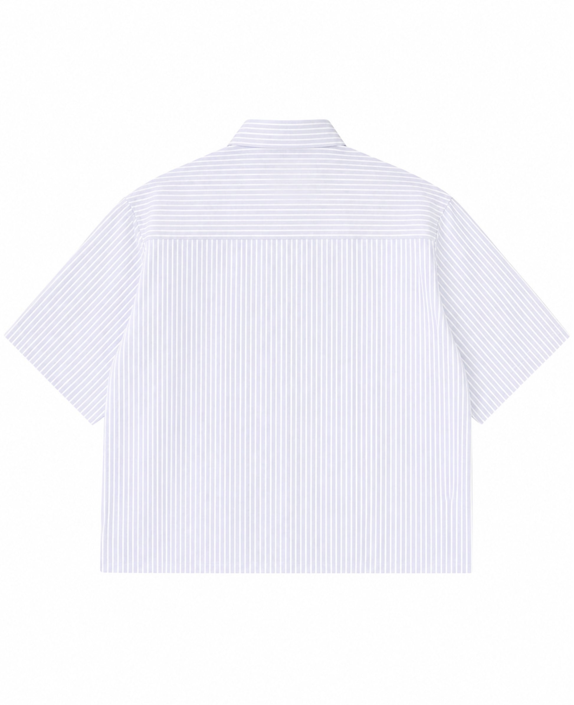 Blue Striped Oxford Boxy Shirt Back Design